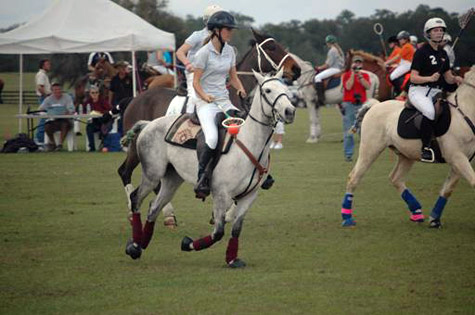 Florida Cracker horse polo